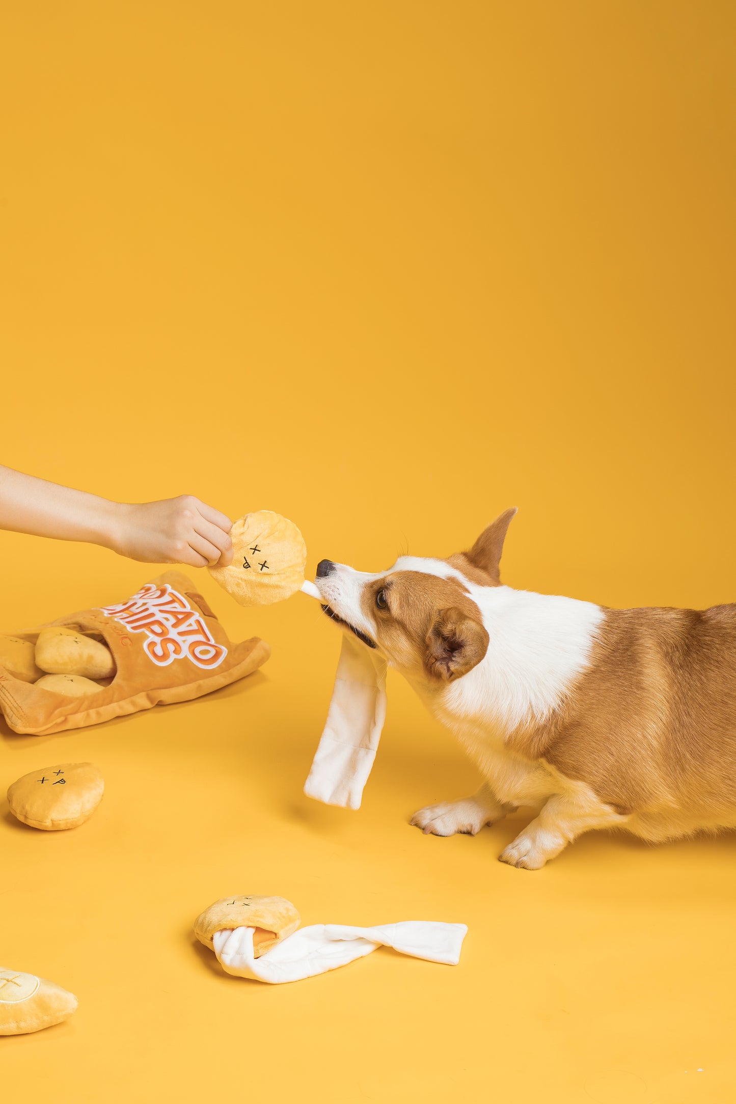 Ear Planet Classic Potato Chips Burrow Snuffle Plush Toy