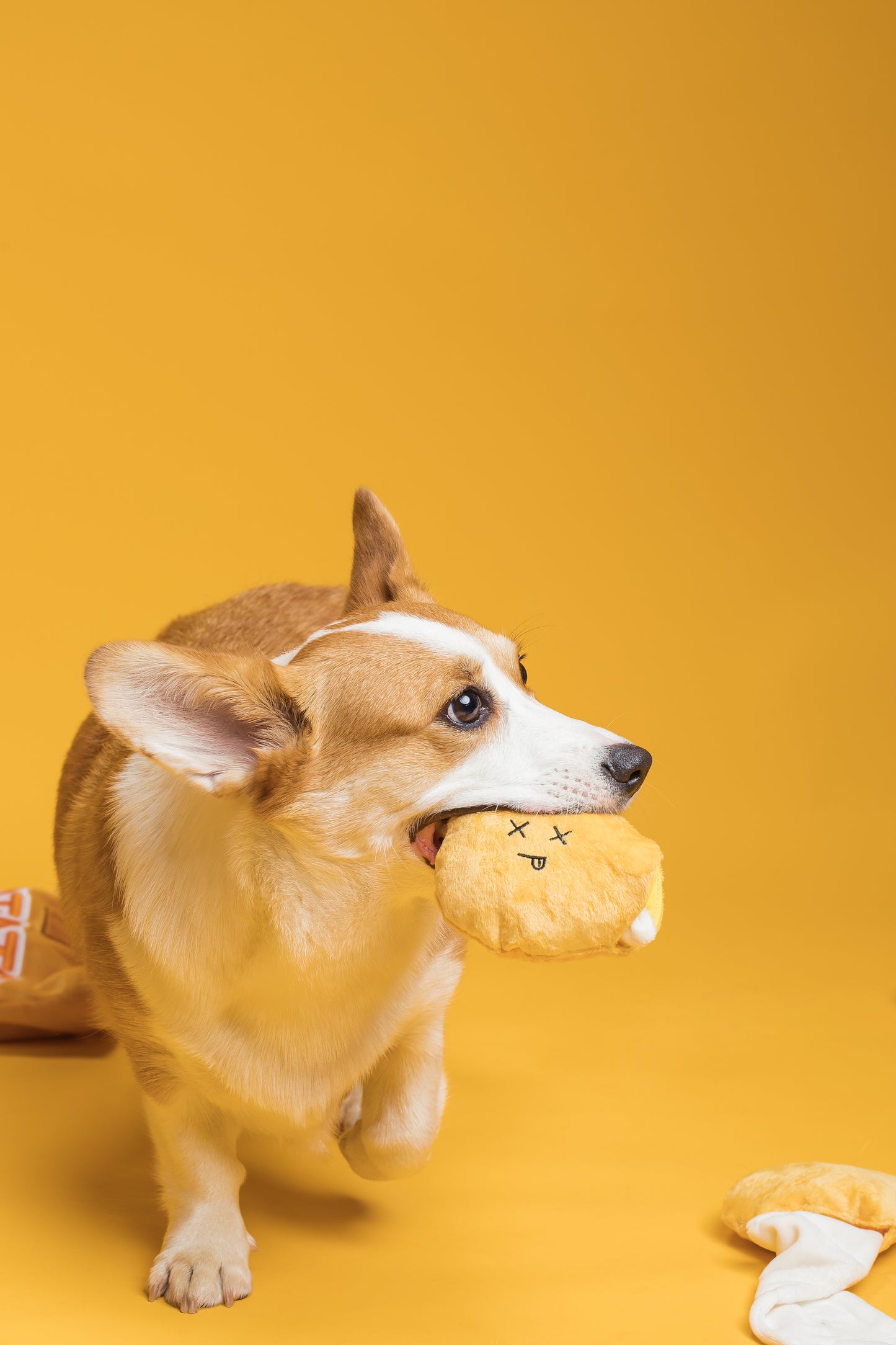 Ear Planet Classic Potato Chips Burrow Snuffle Plush Toy