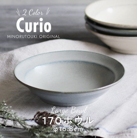 Curio MINO WARE Bowl