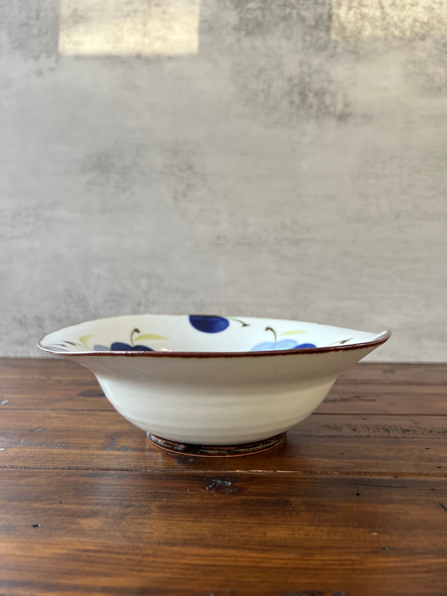 Hand-Painted Navy Apple Large bowl HASAMI WARE